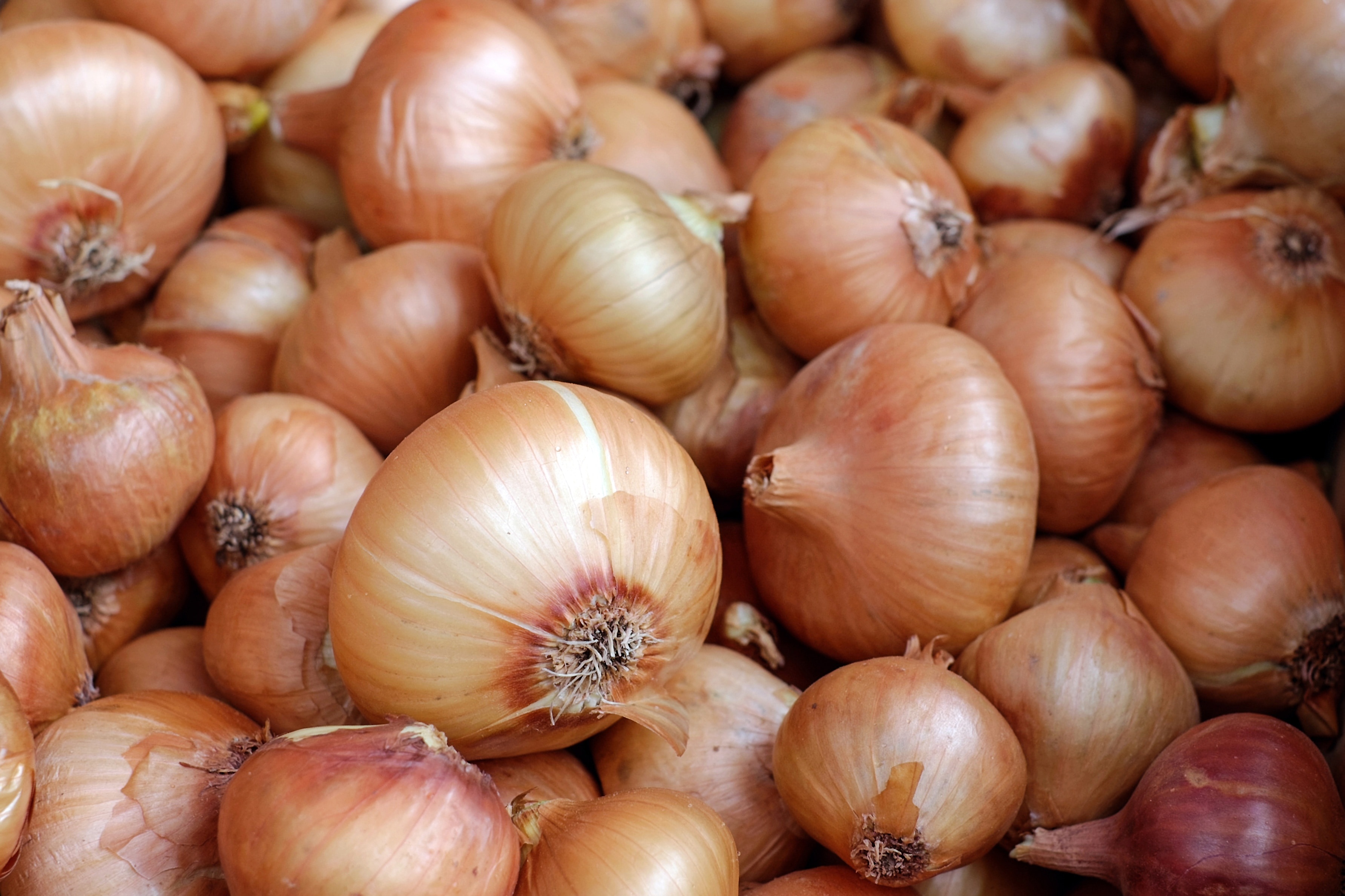 onions-vegetables-food-healthy-wallpaper